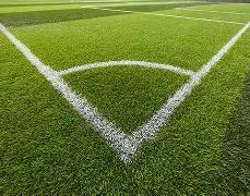 热辣预测,蔻丹第,期大乐透独,大发彩票,大发彩票官方网站,大发快三彩票APP,实时开奖,知识竞猜