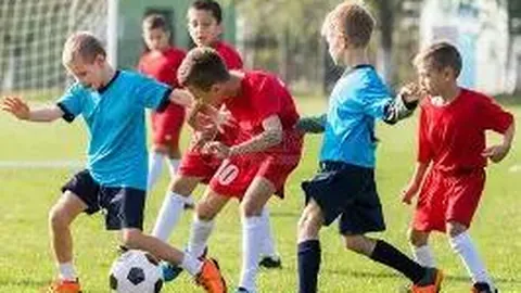 中国体育法治建设助力体育事业高效发展