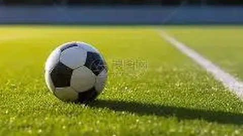 大发彩票 资讯 170713 pok