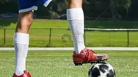 【春风彩韵】2025137期双色球独家预测：12红2蓝，本周期望金榜题名！